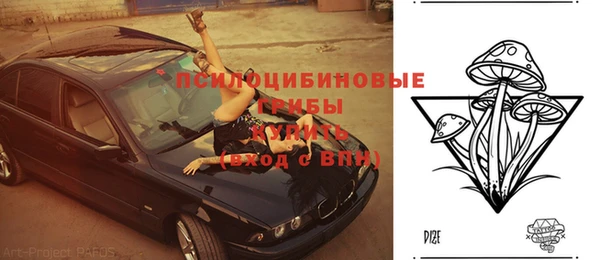 бошки Медвежьегорск