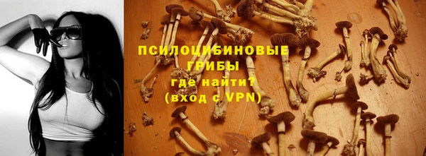 a pvp Мегион
